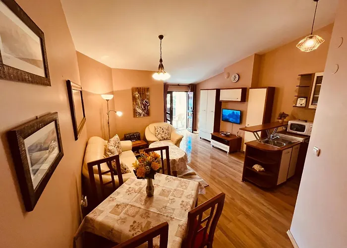 Apartment Marina - Mountain View