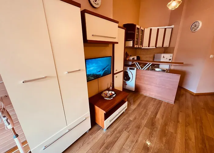 Marina - Mountain View 班斯科